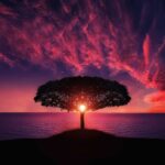 Tree sun ocean silhouette
